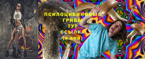 стафф Краснослободск