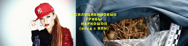 стафф Краснослободск