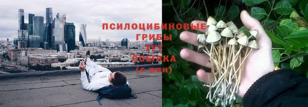 стафф Краснослободск