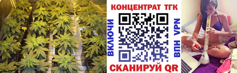 ТГК THC oil  Купить где  Фокино 